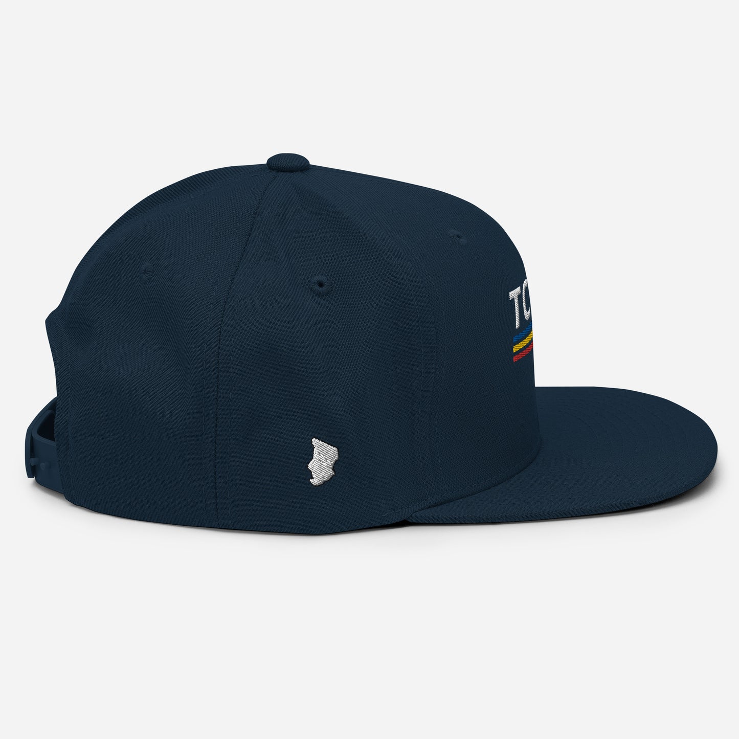 Tchad Embroidered Snapback Hat